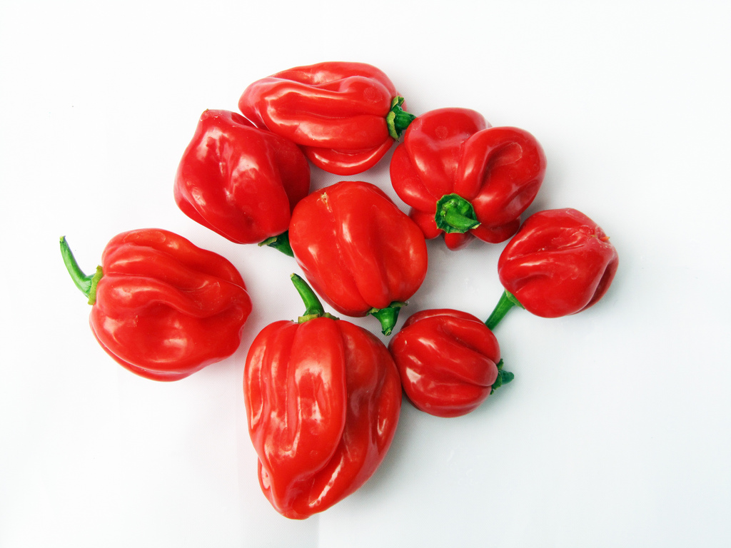 scotch bonnet